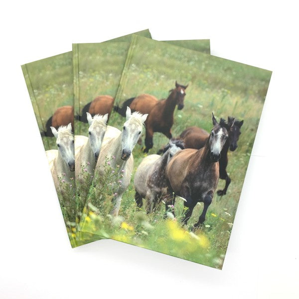 Boek met harde kaft A5 - paarden collage