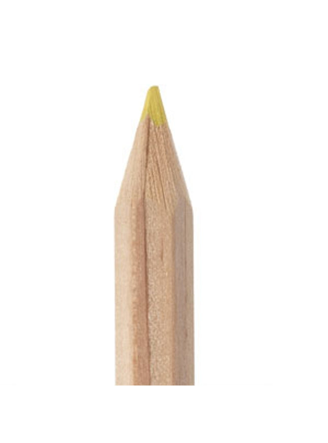 Kleurpotlood 18 cm - in verschillende kleuren