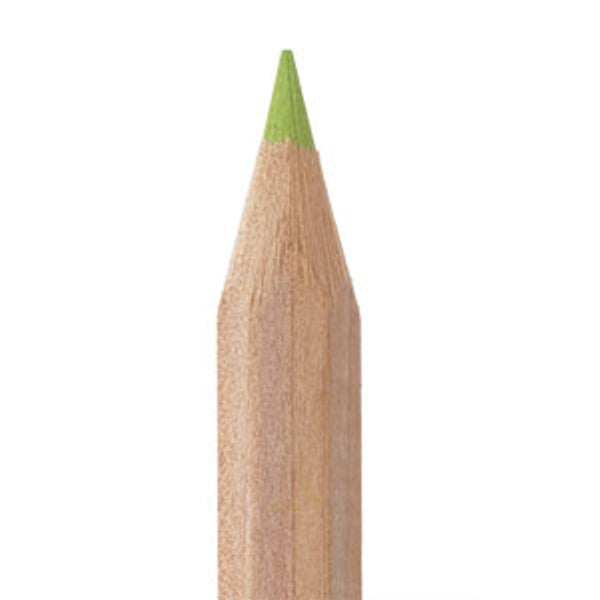 Kleurpotlood 18 cm - in verschillende kleuren