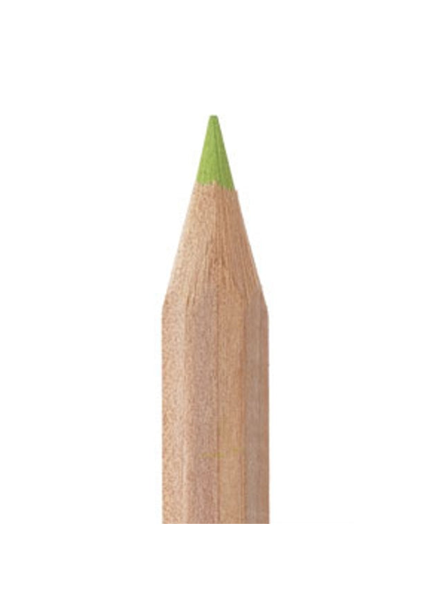 Kleurpotlood 18 cm - in verschillende kleuren