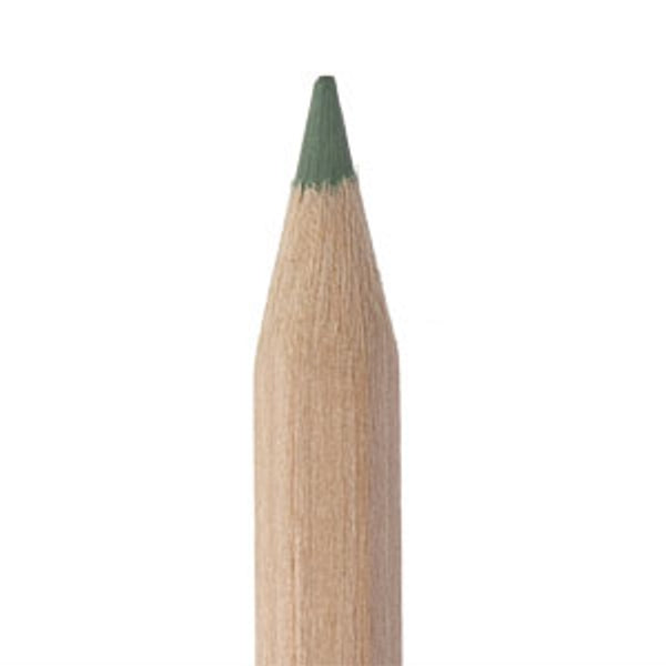 Kleurpotlood 18 cm - in verschillende kleuren