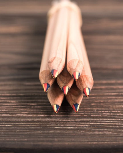 Rainbow pencil with seeds - sunflower