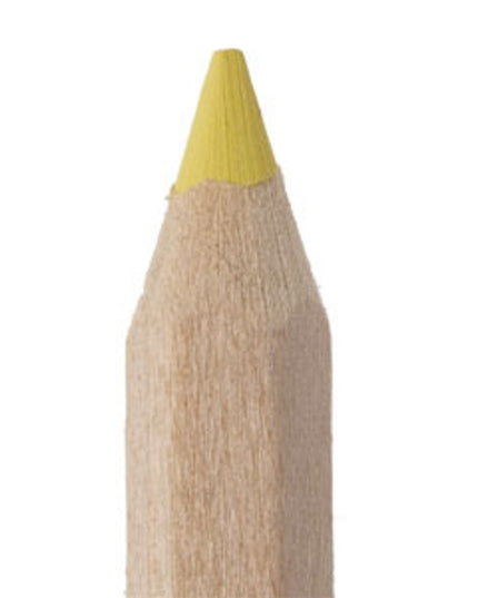 Fluo-kleurdikkerd 18 cm - in verschillende kleuren