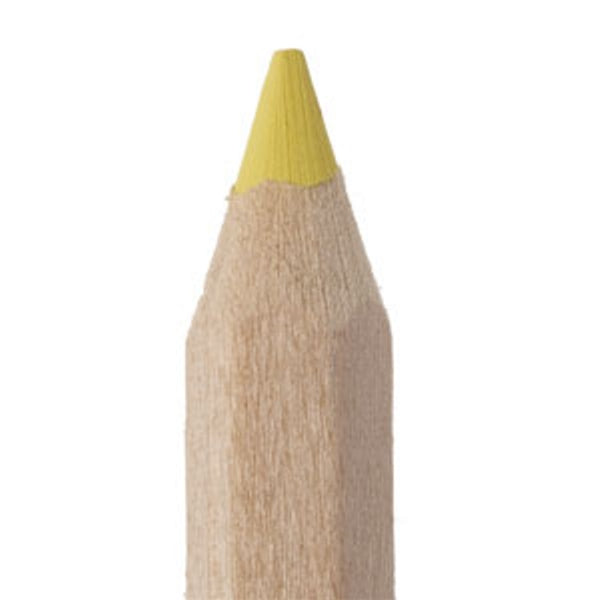 Fluo-kleurdikkerd 18 cm - in verschillende kleuren