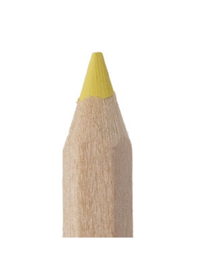 Fluo-kleurdikkerd 18 cm - in verschillende kleuren