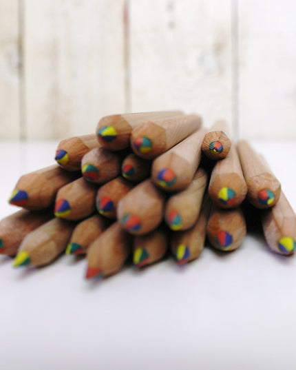 Ecobos koker met 36 maxi-regenboogpotloden - FSC 100%