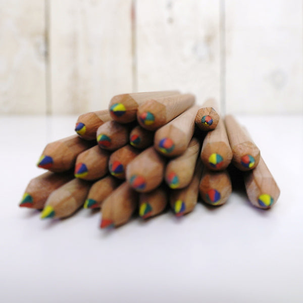 Ecobos koker met 36 maxi-regenboogpotloden - FSC 100%