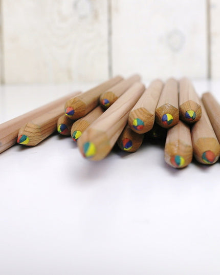 Ecobos koker met 36 maxi-regenboogpotloden - FSC 100%