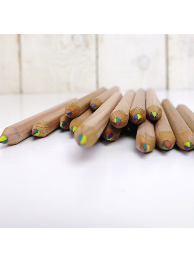 Ecobos koker met 36 maxi-regenboogpotloden - FSC 100%