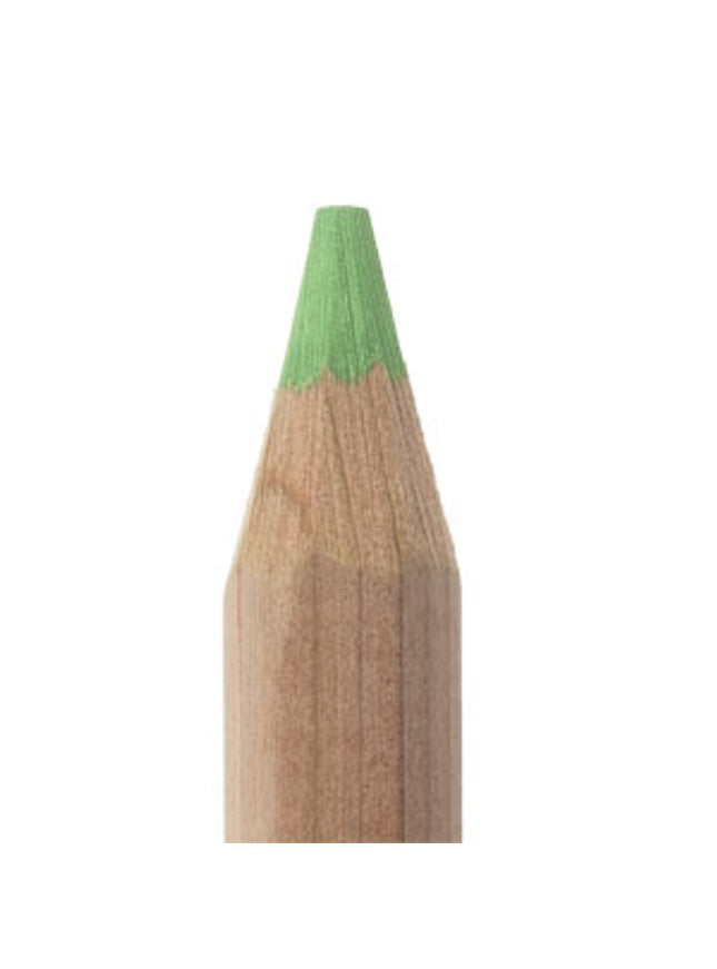 Fluo-kleurdikkerd 18 cm - in verschillende kleuren