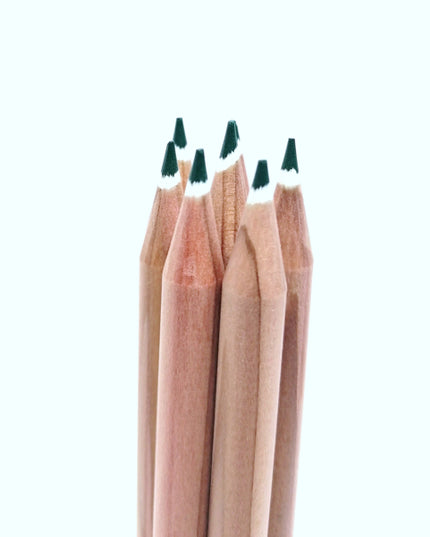 Round colored pencil with seeds - green: basil