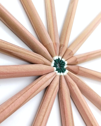 Round colored pencil with seeds - green: basil
