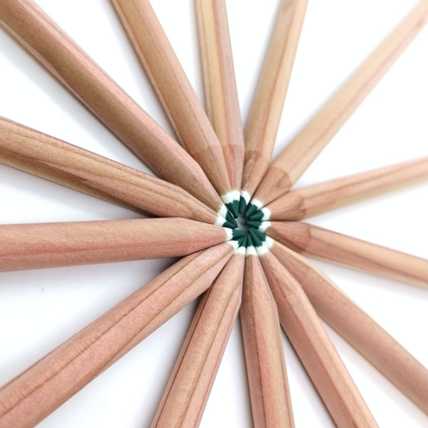 Rond kleurpotlood met zaden - groen : basilicum