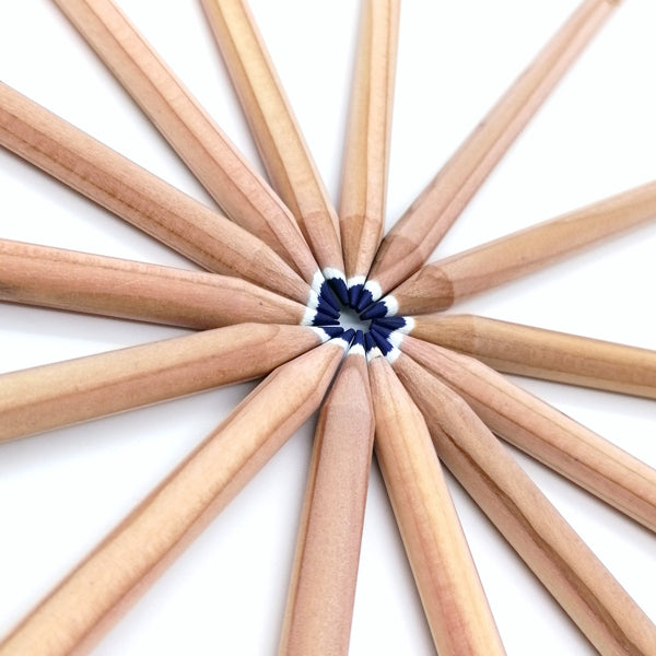 Rond kleurpotlood met zaden - blauw : vergeet-me-niet