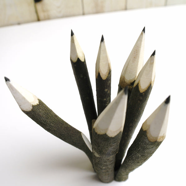 Hazelnoottak-potlood ca. 14 cm