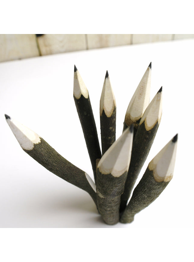 Hazelnoottak-potlood ca. 14 cm