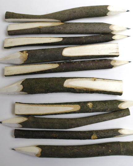 Hazelnoottak-potlood ca. 14 cm
