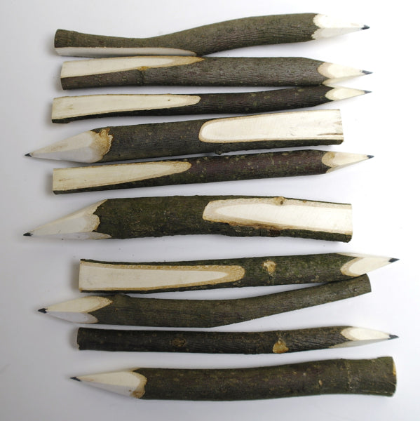 Hazelnoottak-potlood ca. 14 cm