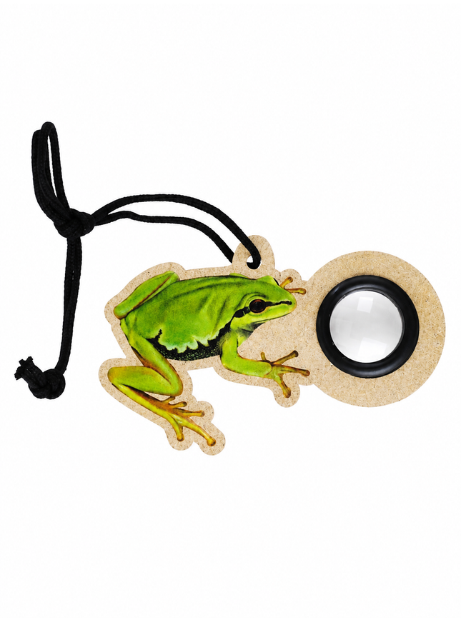 moulinette à grenouille