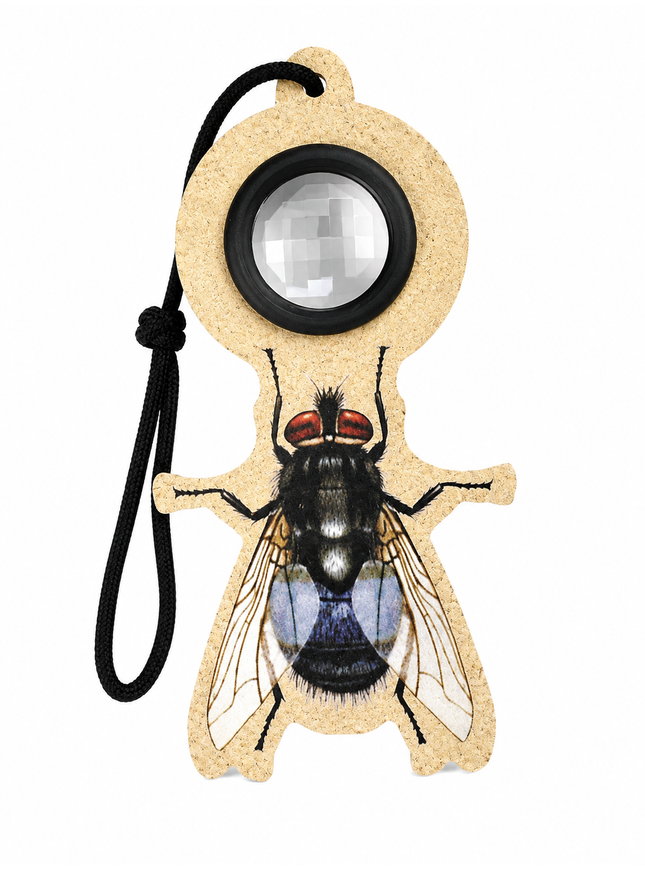 Œil de mouche sur fil - mouche