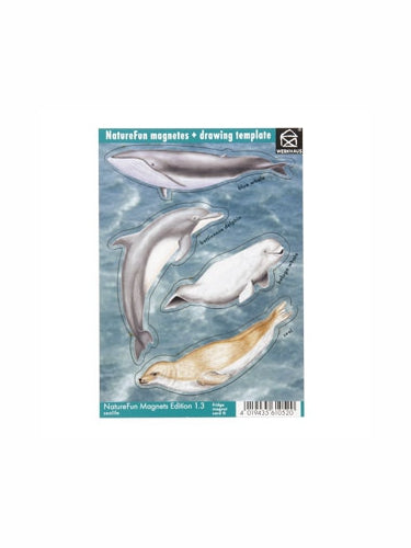 kaart met 4 magneten - zeedieren