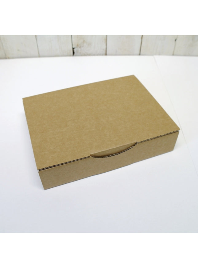 doos microgolfkarton 24x17x5 cm versterkte kanten