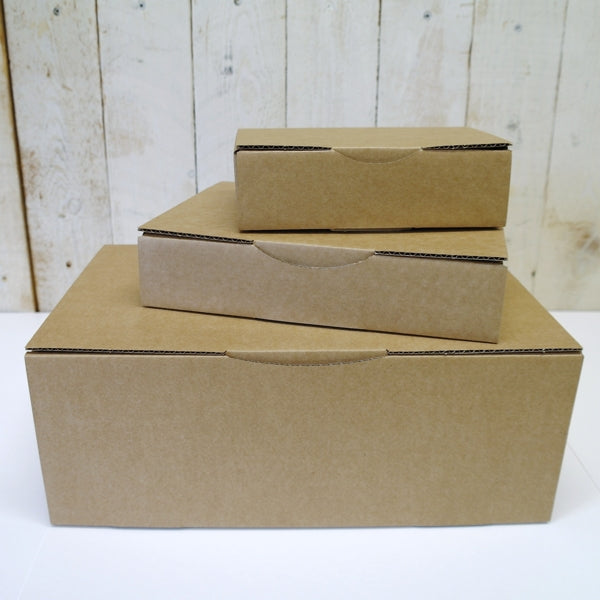 doos microgolfkarton 24x17x5 cm versterkte kanten
