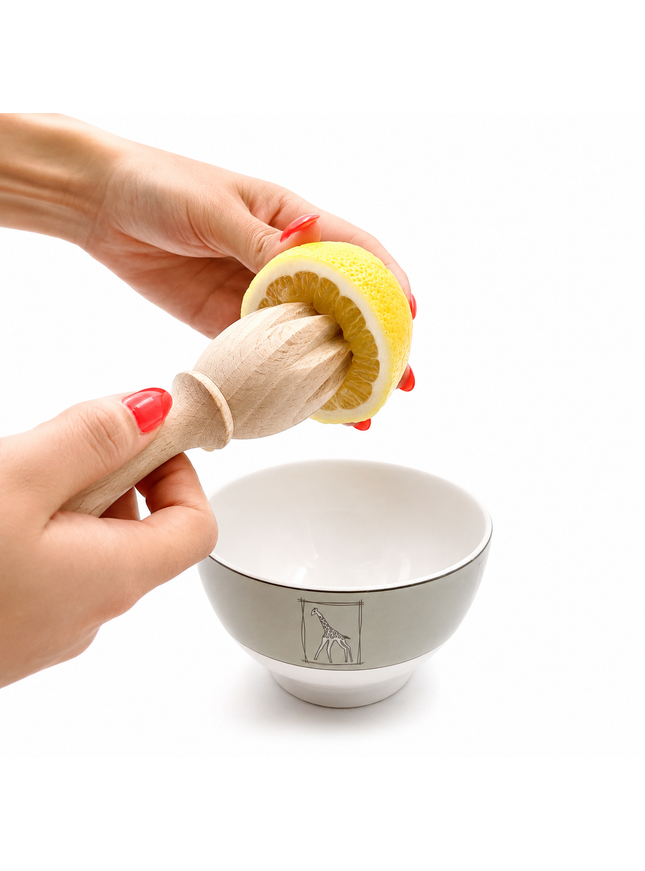 citrus juicer (15x4.2 cm)