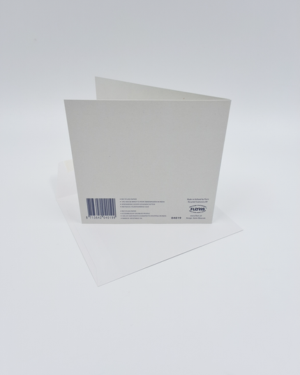 Square greeting card ducks, "Congratulations" (F04019)