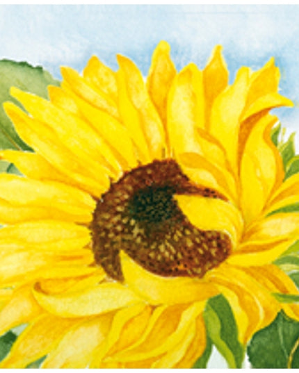 Square greeting card sunflower, Muriël (F04030)