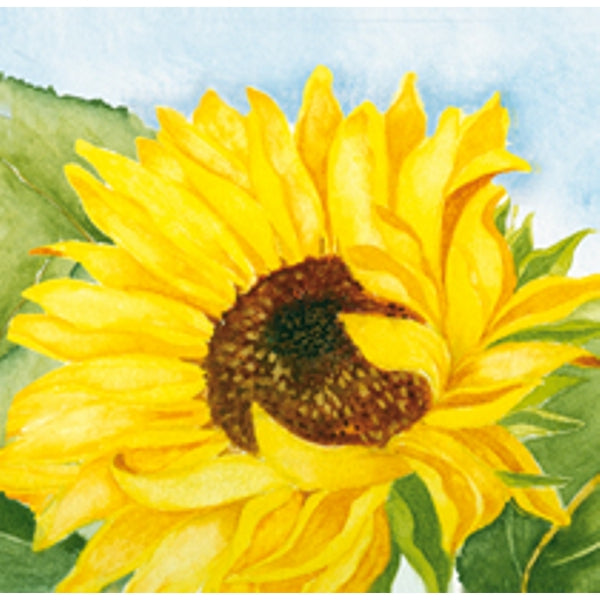 Vierkante wenskaart zonnebloem, Muriël (F04030)