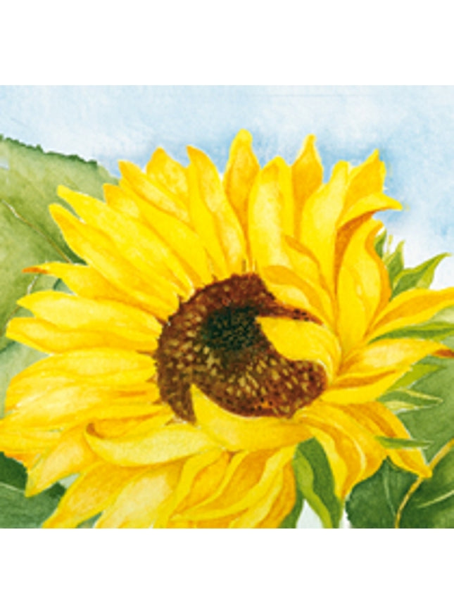 Vierkante wenskaart zonnebloem, Muriël (F04030)