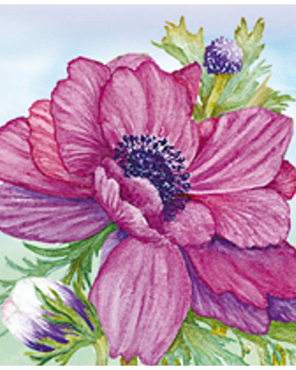 Vierkante wenskaart anemonen paars (F04033)