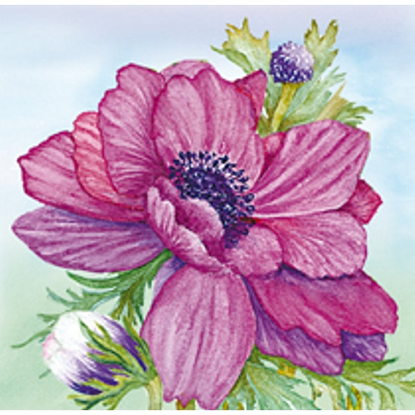 Vierkante wenskaart anemonen paars (F04033)