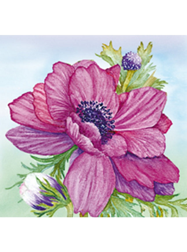 Vierkante wenskaart anemonen paars (F04033)
