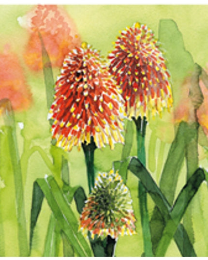 Vierkante wenskaart bloem vuurpijl (F04035)