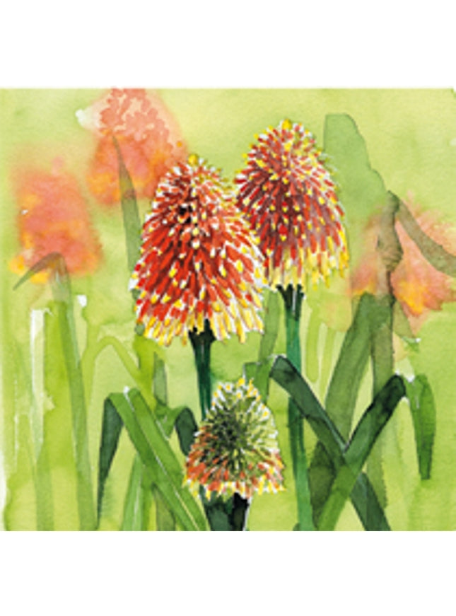 Vierkante wenskaart bloem vuurpijl (F04035)