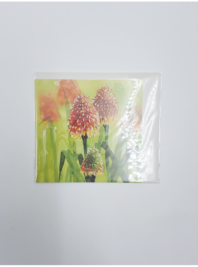 Vierkante wenskaart bloem vuurpijl (F04035)