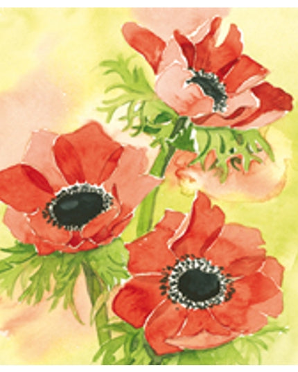 Vierkante wenskaart rode anemonen (F04038)