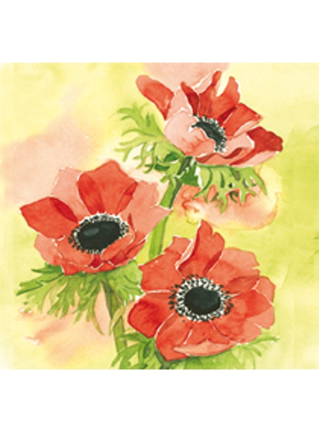Vierkante wenskaart rode anemonen (F04038)