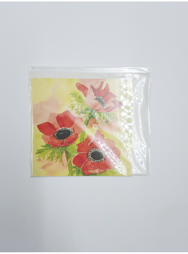 Vierkante wenskaart rode anemonen (F04038)