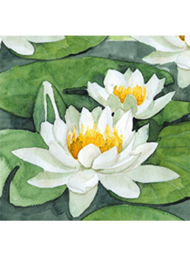 Vierkante wenskaart witte waterlelies (F04040)
