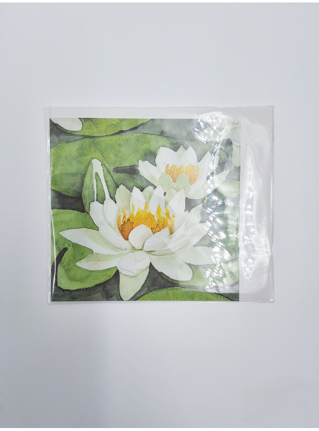 Vierkante wenskaart witte waterlelies (F04040)