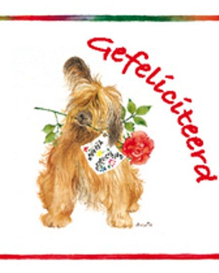 Vierkante wenskaart hond roos, "Gefeliciteerd" (F04047)