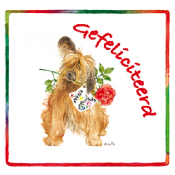 Vierkante wenskaart hond roos, "Gefeliciteerd" (F04047)