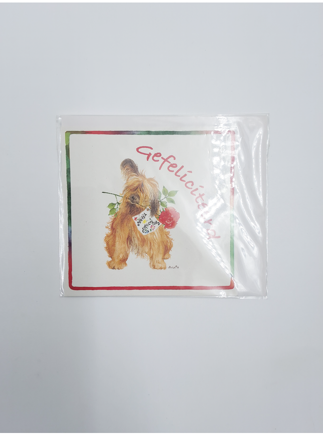 Vierkante wenskaart hond roos, "Gefeliciteerd" (F04047)