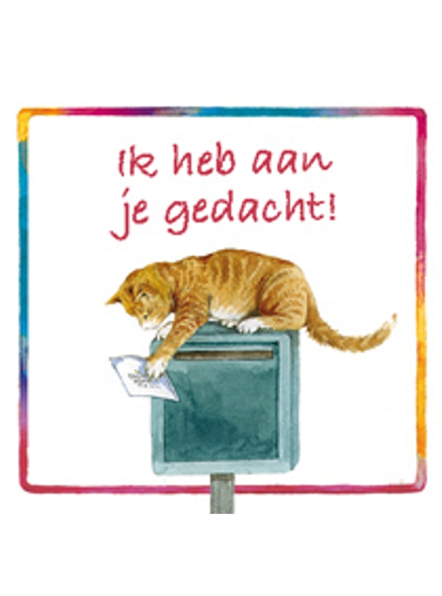 Vierkante wenskaart poes, "Ik heb aan je gedacht" (F04052)