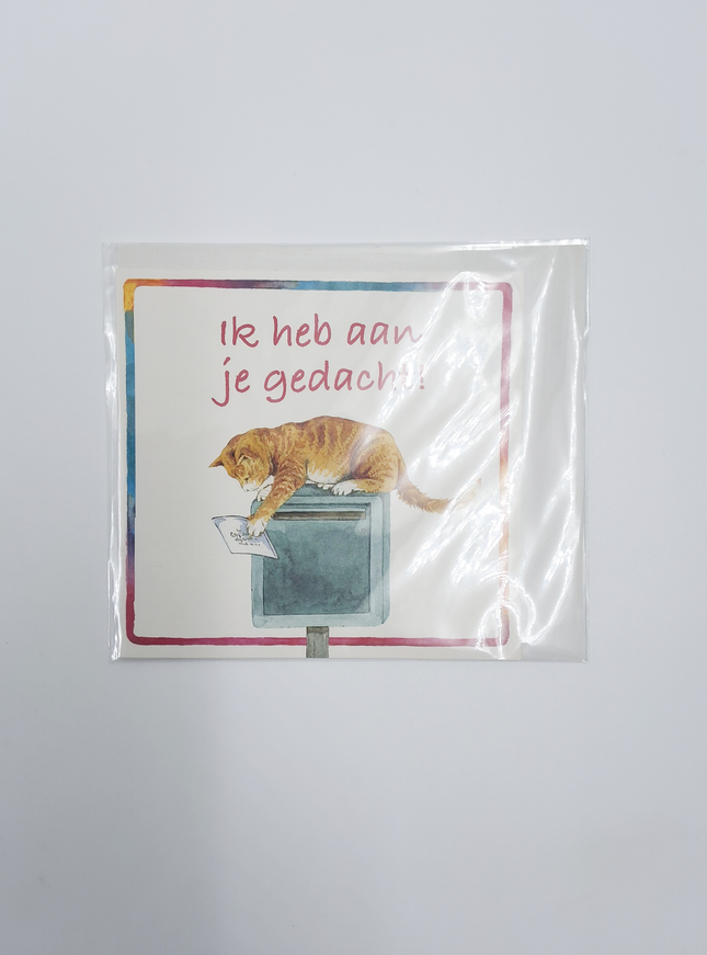 Carte de vœux carrée avec un chat, « Je pensais à toi »