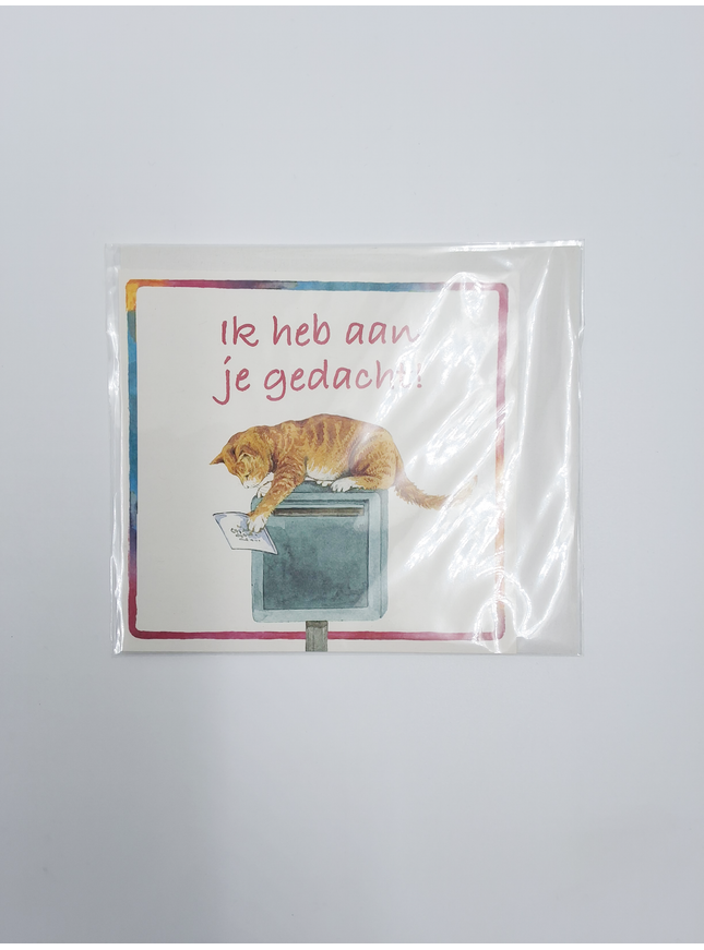 Vierkante wenskaart poes, "Ik heb aan je gedacht" (F04052)