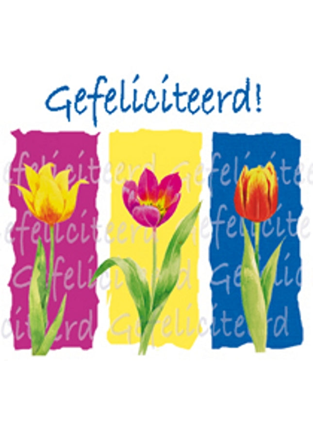 Vierkante wenskaart tulpen, "Gefeliciteerd!" (F04056)